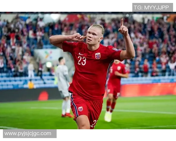 上海飞盘队灵活性分析与战术创新的深度探讨