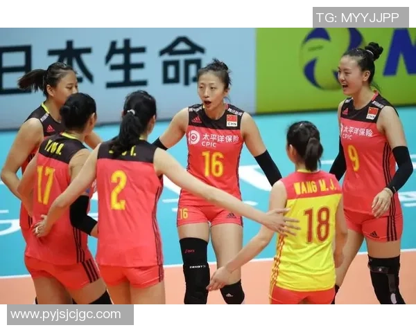 武汉排球队实力强劲荣登全国排球力量排行榜第二名